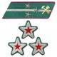 ПОЛКОВОЙ КОМИССАР, ВОЕНИНЖЕНЕР 1-го РАНГА, ВОЕНВРАЧ 1-го ранга, ВОЕНВЕТВРАЧ 1-го ранга, ВОЕННЫЙ ЮРИСТ 1-го РАНГА войск НКВД, петлицы и нарукавные знаки обр. 1935/36 г.